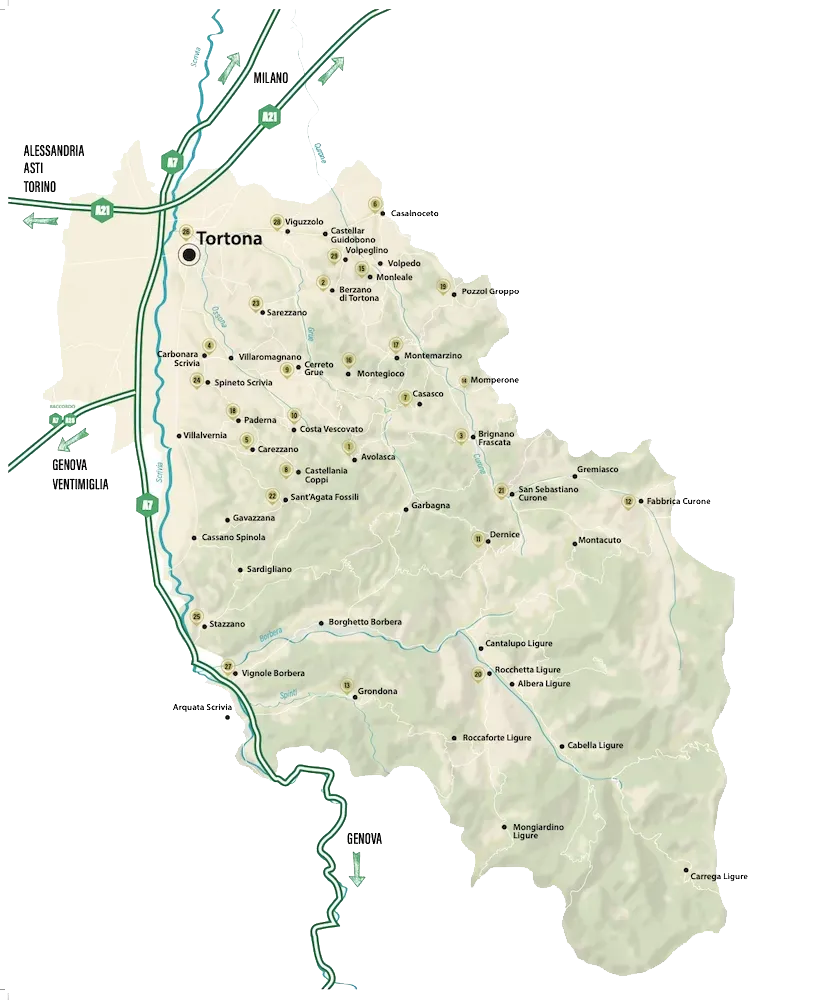 comuni-denominazione-consorzio_derthona-2.0_testo-e1719843057838.png
