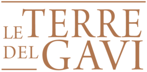 le terre del gavi logo